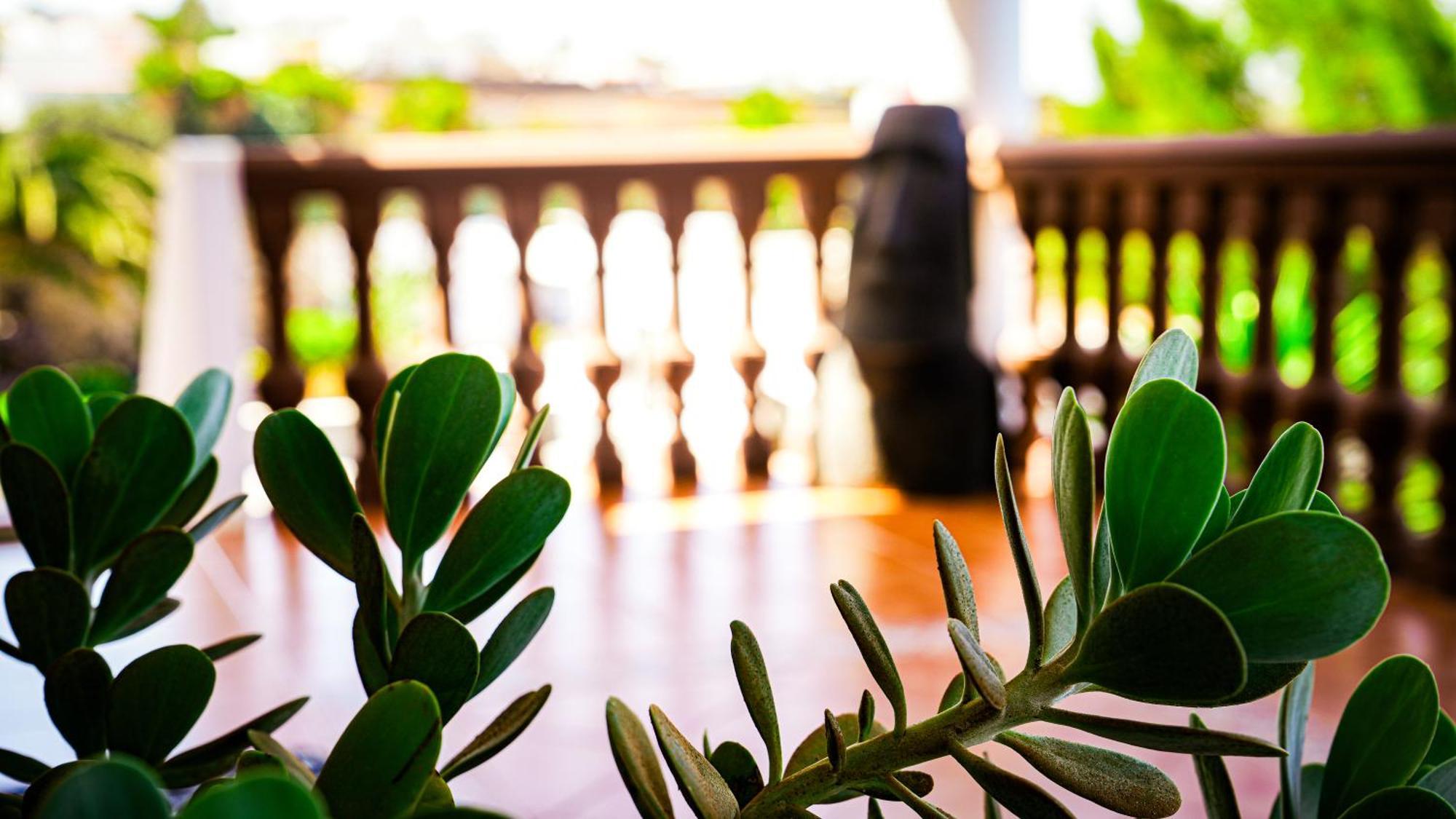 Villa Azul Fuerteventura Villaverde  Zewnętrze zdjęcie