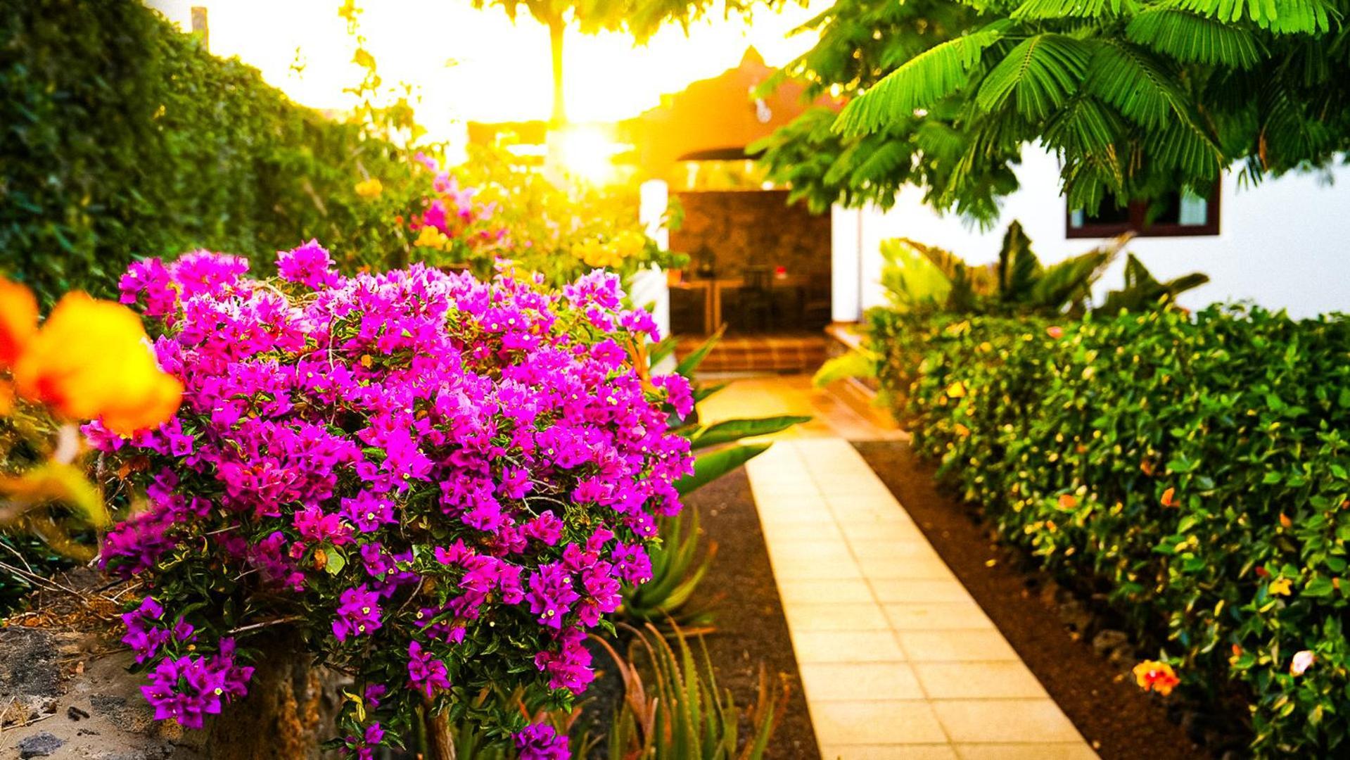 Villa Azul Fuerteventura Villaverde  Zewnętrze zdjęcie