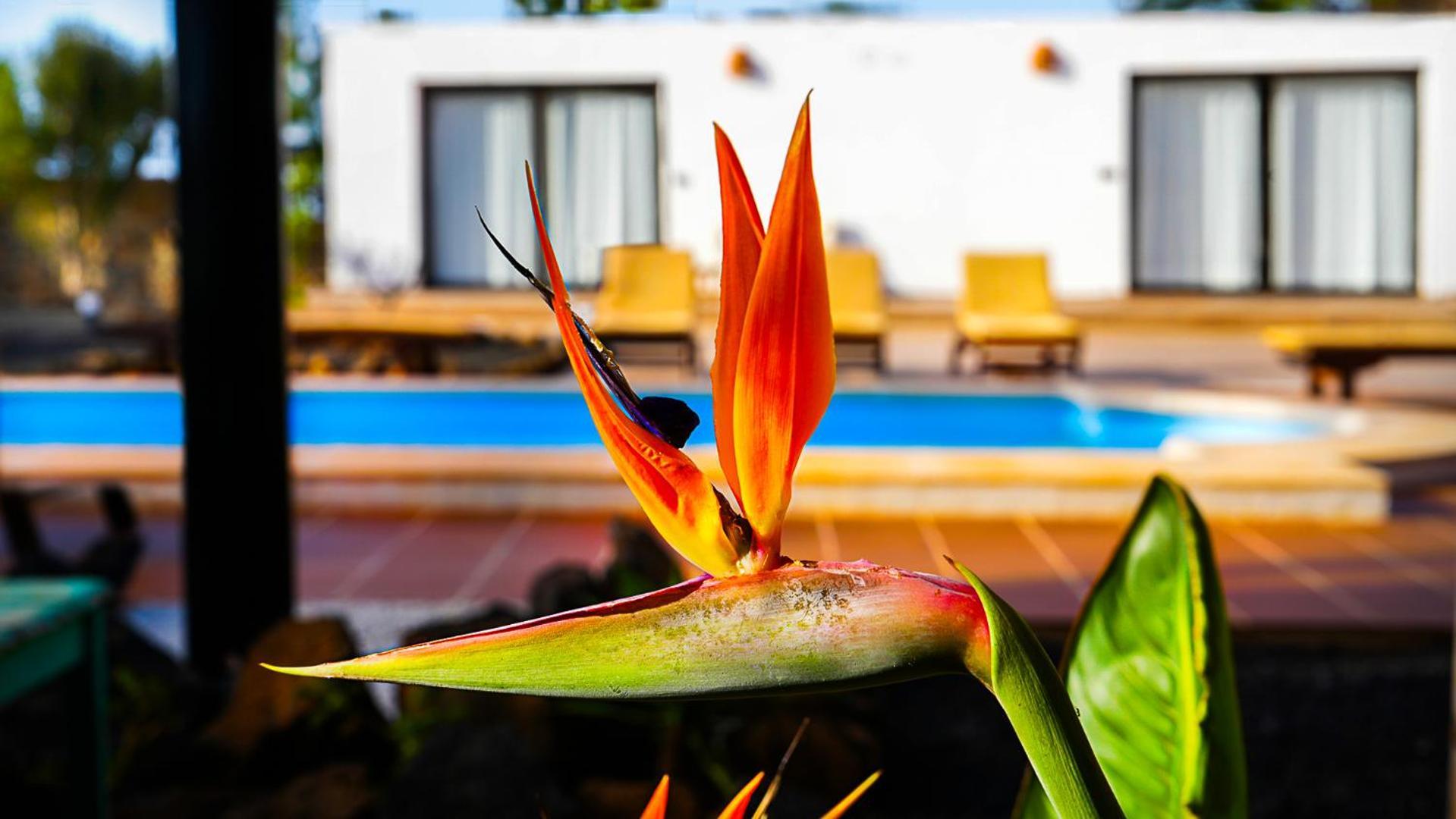 Villa Azul Fuerteventura Villaverde  Zewnętrze zdjęcie